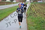 27.10.2013 - Lionslauf 2013