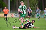Fußball, Herren, Saison 2026-2027, Freundschaftsspiel, VfB Eichstätt - BSG Chemie Leipzig, 01.07.2026