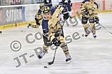 11.01.2015 - ERC Ingolstadt - Hamburg Freezers