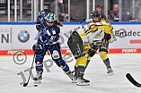 Eishockey, Frauen, DFEL, Saison 2021-2022, ERC Ingolstadt - Mad Dogs Mannheim, 23.10.2021
