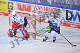 Eishockey, Herren, DEL, Saison 2021-2022, Spieltag 31, Straubing Tigers - ERC Ingolstadt, 16.12.2021