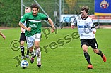 29.10.2016 - VfB Eichstätt - SV Erlenbach-Main