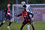 Fußball, Herren, Bayernliga Nord, Saison 2024-2025, Spieltag 31, FC Ingolstadt 04 II - ATSV Erlangen, 25.04.2025