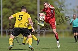 Fußball, Herren, Neumarkt Jura, Kreisliga West, Saison 2022-2023, Spieltag 26, DJK Limes - DJK Pollenfeld, 11.06.2023