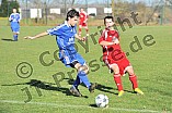 14.11.2010 - DJK Limes 09 / TV Eckersmühlen