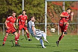 Fußball, Herren, Kreisliga Neumarkt Jura West, Saison 2023-2024, Spieltag 8, DJK Limes - SG SV Barthelmesaurach-SV Kammerstein, 01.10.2023