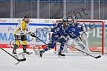 Eishockey, Frauen, DFEL, Saison 2021-2022, ERC Ingolstadt - Mad Dogs Mannheim, 23.10.2021