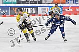 Eishockey, Frauen, DFEL, Saison 2021-2022, ERC Ingolstadt - Mad Dogs Mannheim, 24.10.2021