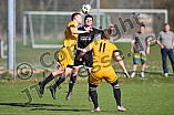 08.04.2018 - DJK Pollenfeld - TSV Meckenhausen