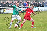 03.03.2012 - VfB Eichstätt / TSG Thannhausen