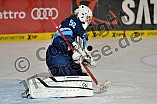 ERC Ingolstadt vs Schwenninger Wild Wings, Eishockey, DEL, Deutsche Eishockey Liga, 20.11.2015
