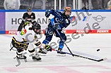 Eishockey, Frauen, DFEL, Vorbereitung, Saison 202-2025, ERC Ingolstadt - St. Pölten, 07.09.2024