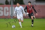 Fußball, Herren, Bayernliga Nord, Saison 2024-2025, Spieltag 31, FC Ingolstadt 04 II - ATSV Erlangen, 25.04.2025