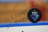 ERC Ingolstadt vs Adler Mannheim, Eishockey, DEL, Deutsche Eishockey Liga, Spieltag 46, 10.02.2017