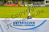 Regionalliga Bayern, Ligapokal, Finale, Herren, BFV, Saison 2019-2021, VfB Eichstätt - SpVgg Bayreuth, 08.06.2021