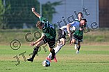Fußball, Herren, Bezirksliga Mittelfranken Süd, Saison 2026-2027, Spieltag 3, TSV Greding - TSV Heideck, 05.08.2026