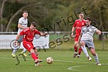 Fußball, Herren, Kreisliga Neumarkt Jura West, Saison 2023-2024, Spieltag 12, DJK Limes - SV Wettelsheim, 29.10.2023