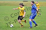 23.03.2014 - SV Ochsenfeld - DJK Pollenfeld