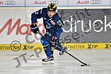 ERC Ingolstadt vs Grizzlys Wolfsburg, Eishockey, DEL, Deutsche Eishockey Liga, 31.01.2016