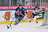 Eishockey, Mens, CHL, Season 2023-2024, ERC Ingolstadt - Växjö Lakers, 14.11.2023