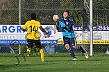 Fußball, Herren, Kreisklasse Neumarkt Jura Süd, Saison 2024-2025, Spieltag 13, DJK Pollenfeld - DJK Grafenberg, 03.11.2024