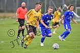 Fußball, Herren, Kreisliga West, Saison 2021-2022, Spieltag 8, DJK Pollenfeld - TV Büchenbach, 19.09.2021