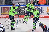 Eishockey, Herren, DEL, Saison 2020-2021, Straubing Tigers - ERC Ingolstadt, 31.01.2021
