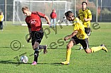 07.10.2012 - DJK Pollenfeld / SV Ochsenfeld