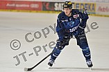 ERC Ingolstadt vs Hamburg Freezers, Eishockey, DEL, Deutsche Eishockey Liga, 10.01.2016