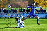 08.11.2014 - VfB Eichstätt - TSV 1883 Bogen