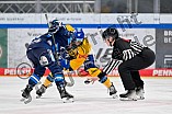 Eishockey, Frauen, DFEL, Saison 2025-2026, Testspiel, ERC Ingolstadt - HC Davos, 14.02.2026