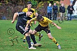 30.10.2016 - DJK Pollenfeld - TSV Heideck