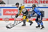 Eishockey, Frauen, DFEL, Saison 2023-2024, ERC Ingolstadt - Mad Dogs Mannheim, 18.02.2024