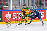 Hockey, Mens, CHL, Season 2025-2026, Regular Season, Game Day 1, ERC Ingolstadt - Ilves Tampere, 28.08.2025