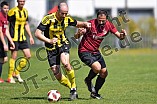 20.04.2019 - DJK Pollenfeld II - FV Obereichstätt
