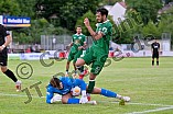 Fußball, Herren, Regionalliga Bayern, Saison 2025-2026, Spieltag 1, VfB Eichstätt - FC Memmingen, 25.07.2025