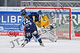 Eishockey, Frauen, DFEL, Saison 2025-2026, Testspiel, ERC Ingolstadt - HC Davos, 14.02.2026