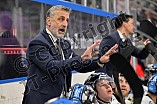 Eishockey, Herren, DEL, Saison 2024-2025, Spieltag 39, Straubing Tigers - ERC Ingolstadt, 24.01.2025