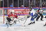 Koelner Haie vs ERC Ingolstadt, DEL, Deutsche Eishockey Liga, Playoffs, Viertelfinale, Spiel 7, 31.03.2019