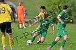 Fußball, Herren, Kreisliga 1, Saison 2023-2024, Spieltag 5, SV Lippertshofen - FC Hitzhofen-Oberzell, 03.09.2023