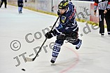 12.04.2015 - ERC Ingolstadt - Adler Mannheim