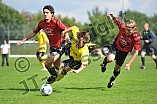 05.09.2010 - DJK Pollenfeld / SV Ochsenfeld