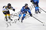 Eishockey, Frauen, DFEL, Saison 2020-2021, ERC Ingolstadt - Mad Dogs Mannheim, 30.01.2021