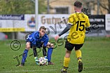 Fußball, Herren, Kreisliga West, Saison 2022-2023, Spieltag 13, DJK Pollenfeld - DJK Limes 09, 06.11.2022