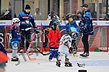 Eishockey, Saison 2025-2026, ERC Ingolstadt - Kids On Ice Day, 10.01.2026