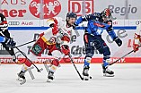 Eishockey, Herren, DEL, Saison 2023-2024, Spieltag 46, ERC Ingolstadt - Düsseldorfer EG, 15.02.2024