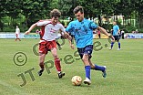 03.06.2012 - DJK Workerszell / TSG Ellingen II