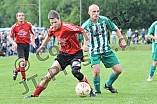 02.06.2011 - SC Steinberg / SV Denkendorf II