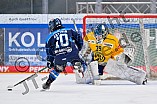 Eishockey, Frauen, DFEL, Saison 2025-2026, Testspiel, ERC Ingolstadt - HC Davos, 14.02.2026