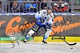 Adler Mannheim vs ERC Ingolstadt, DEL, Deutsche Eishockey Liga, Spieltag 50, 01.03.2020